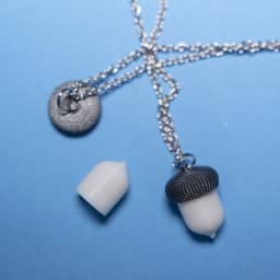 Acorntainer Charm 3d model