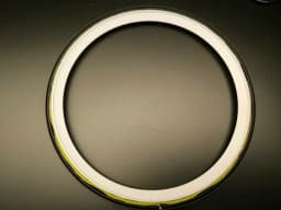 Ring Lamp II with Halloween Panels 3d model