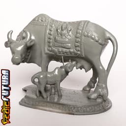 Sacred Cow with Calf 3d model