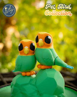 Pet Bird Collection 3d model