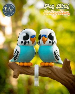 Pet Bird Collection 3d model