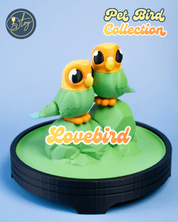 Pet Bird Collection 3d model