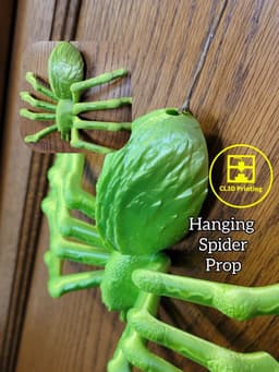 Hanging Spider 3d model