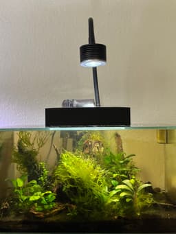 Fluval Edge Aftermarklet Lid 3d model
