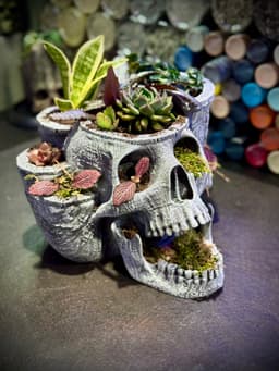 Skull garden planter 3d model