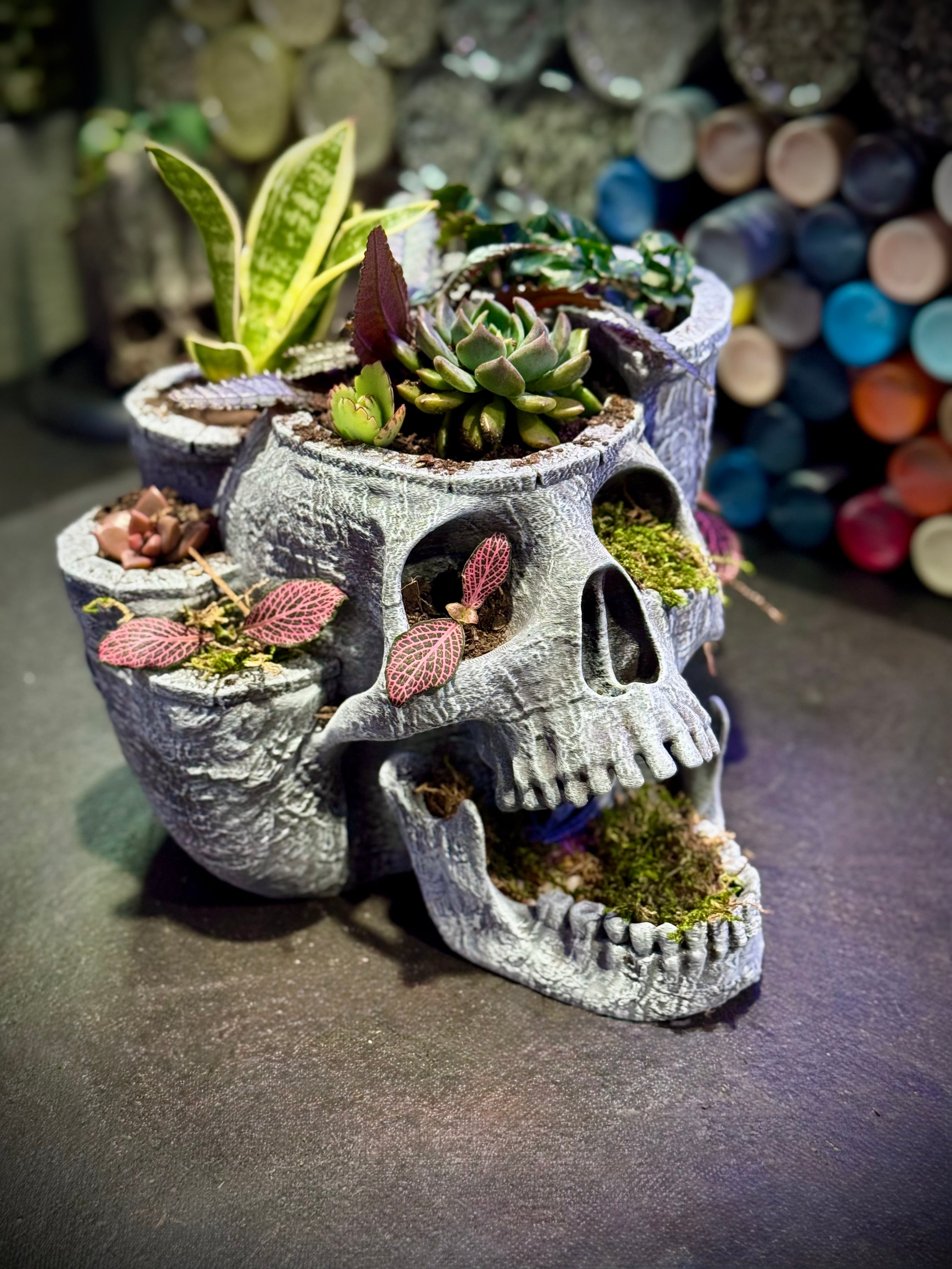 Skull garden planter 3d model
