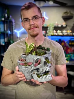 Skull garden planter 3d model