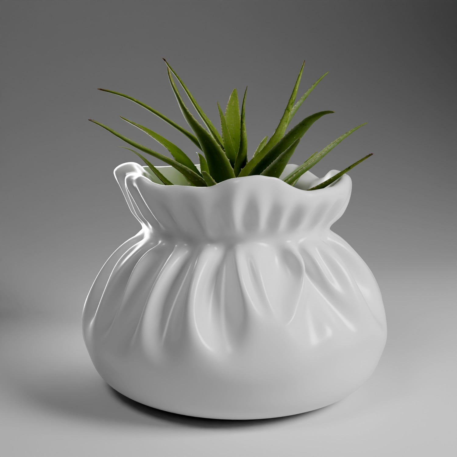 Pouch Planter 1 3d model