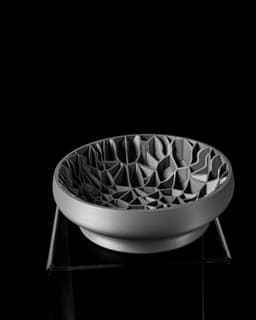 Vori Catch-all Bowl by MODERN MACHINE 3d model