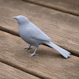 Babbler Bird 3d model