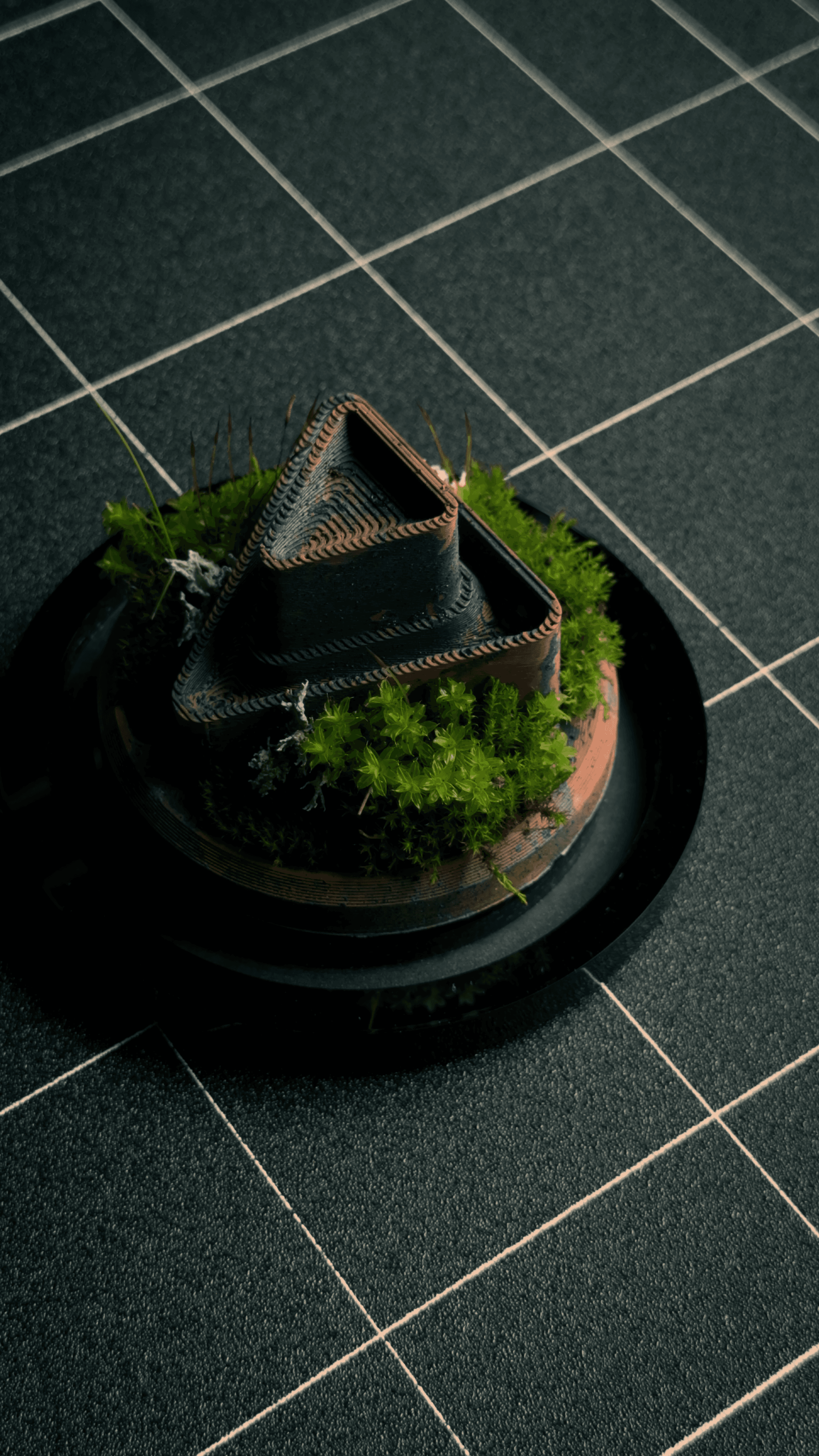 TERRA - Custom Terrarium 3d model