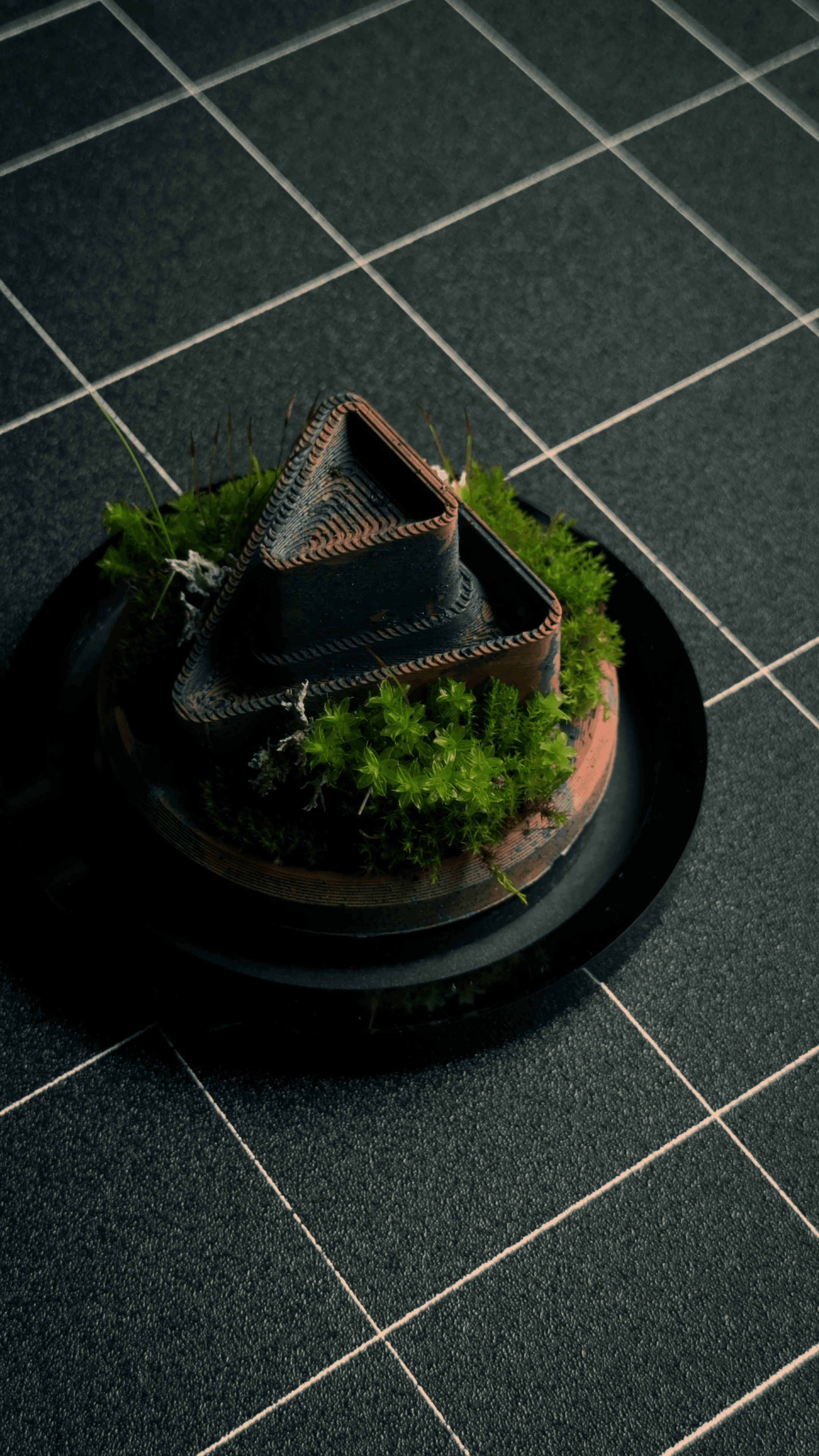 TERRA - Custom Terrarium 3d model