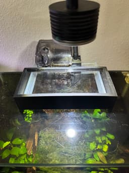 Fluval Edge Aftermarklet Lid 3d model