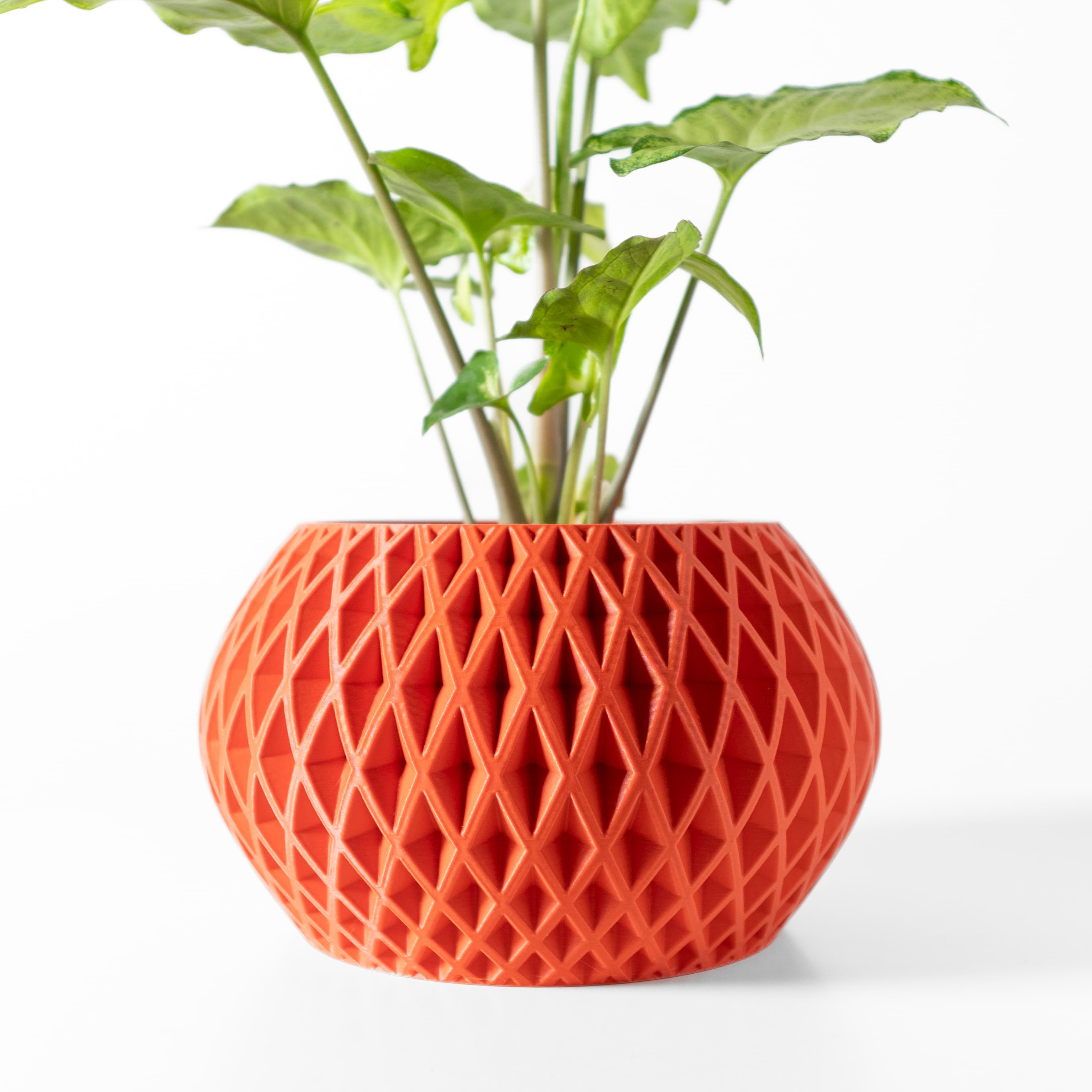 The Gisar Planter Pot with Drainage Tray & Stand: Modern and Unique Home Decor for Plants 3d model