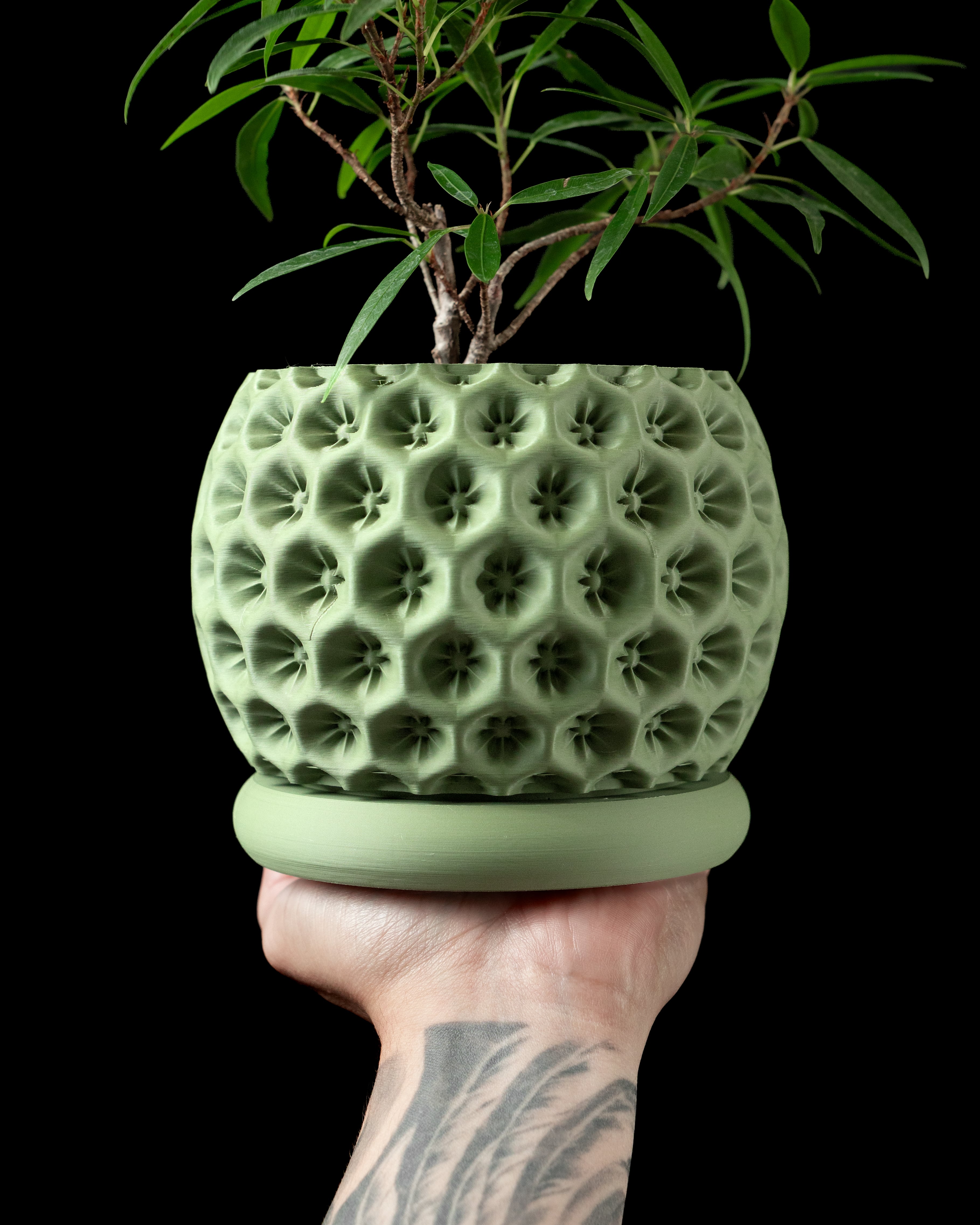 Starry Planter Pot by MODERN MACHINE 3d model