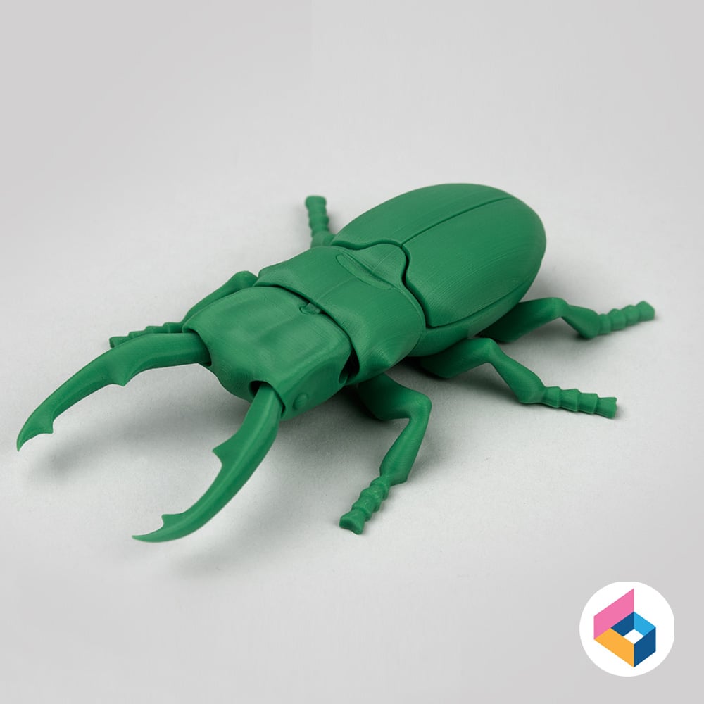 Foldable Stag Beetle - Flexi 3d model