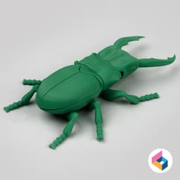 Foldable Stag Beetle - Flexi 3d model
