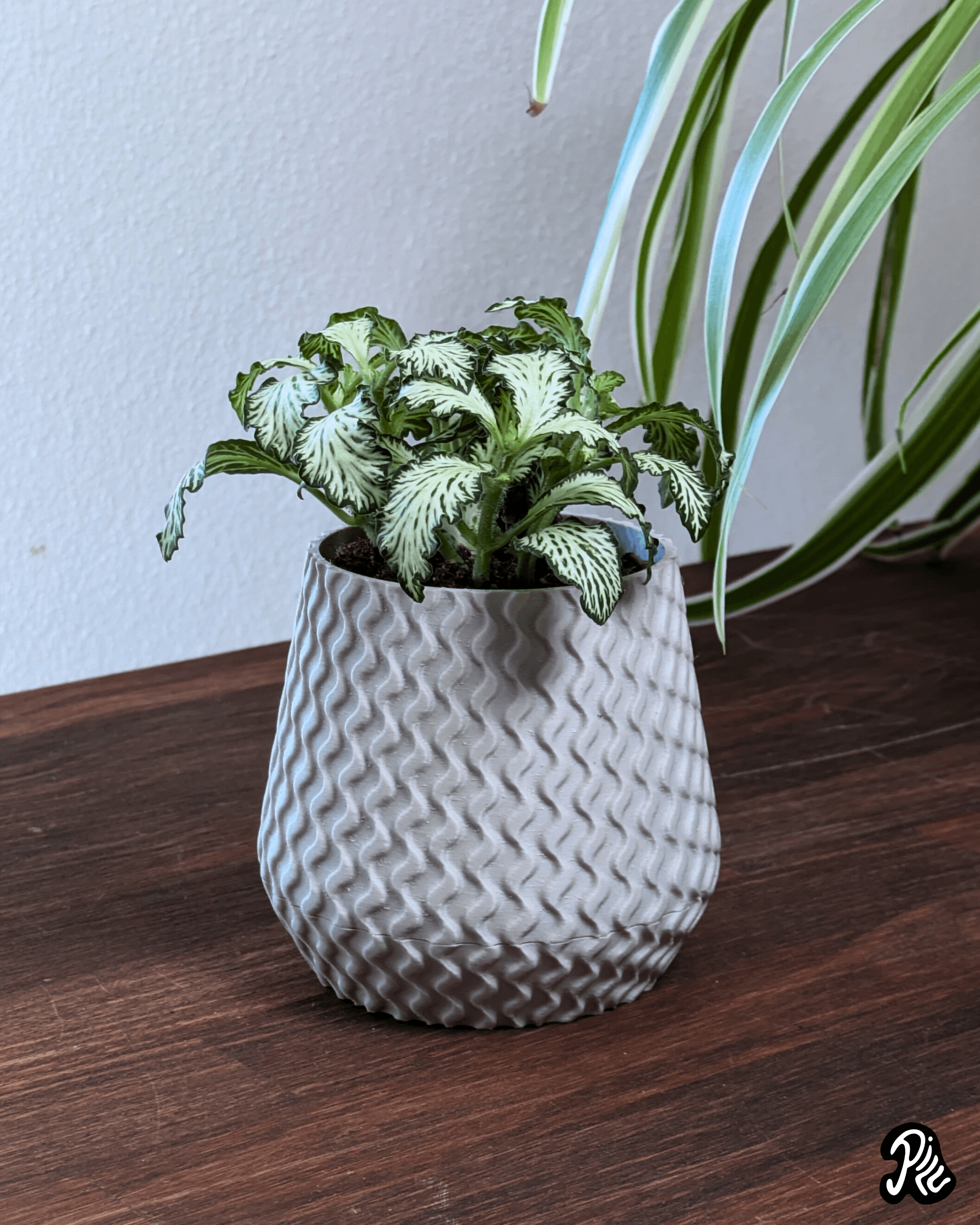 Textured Planters 3d model