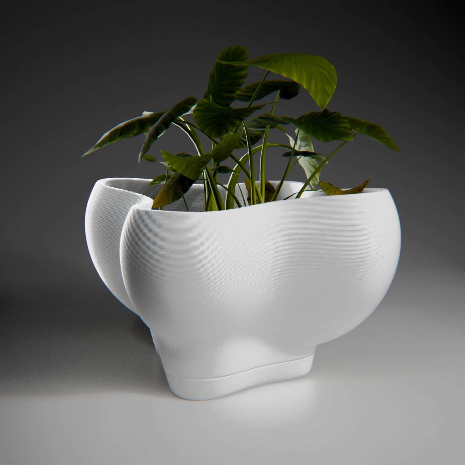 Clover Planter 3d model