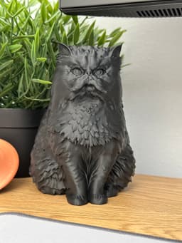 persian_cat.stl 3d model