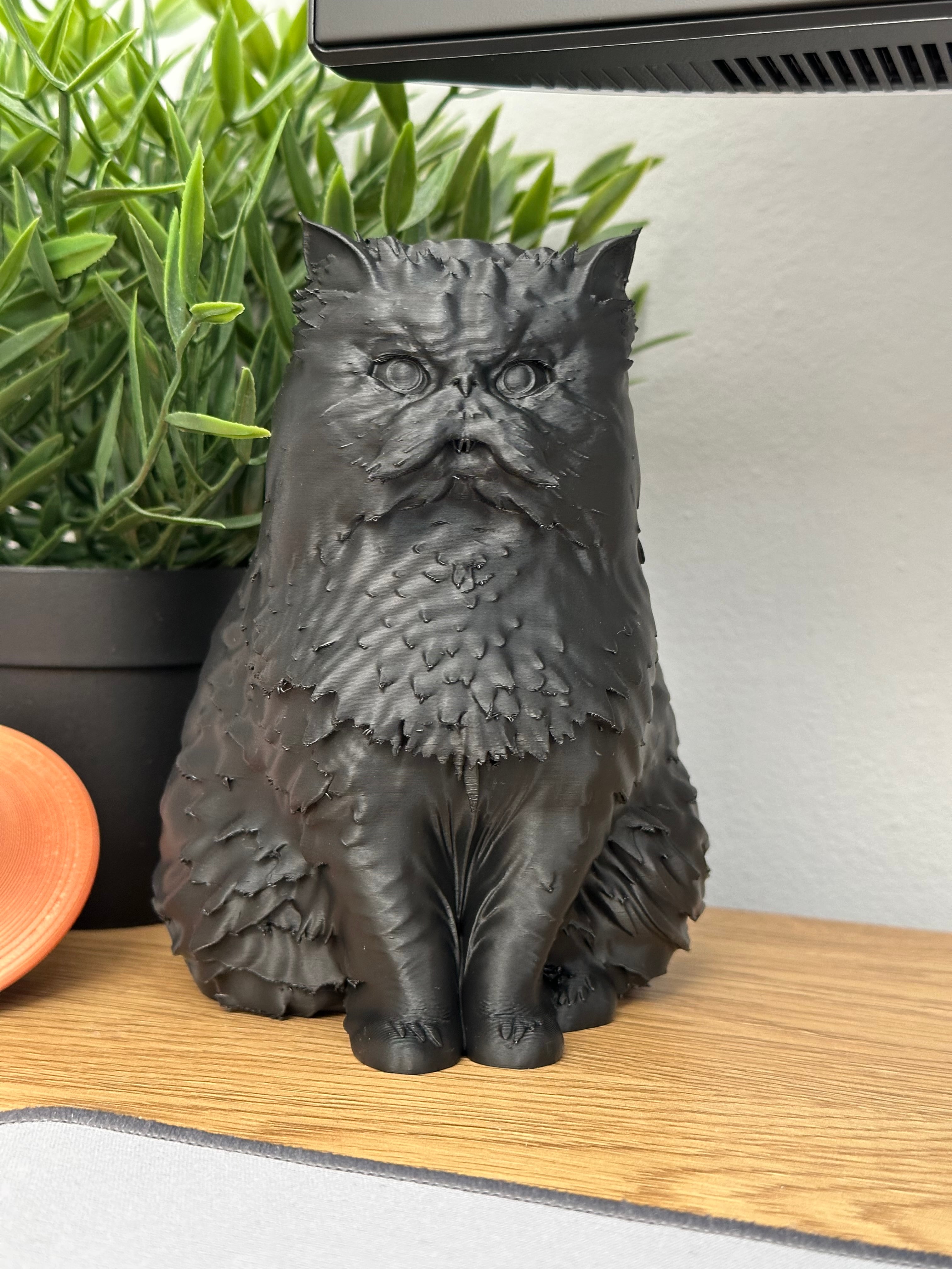 persian_cat.stl 3d model