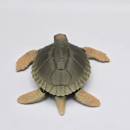 Prehistoric Archelon Sea Turtle Dinosaur 3d model
