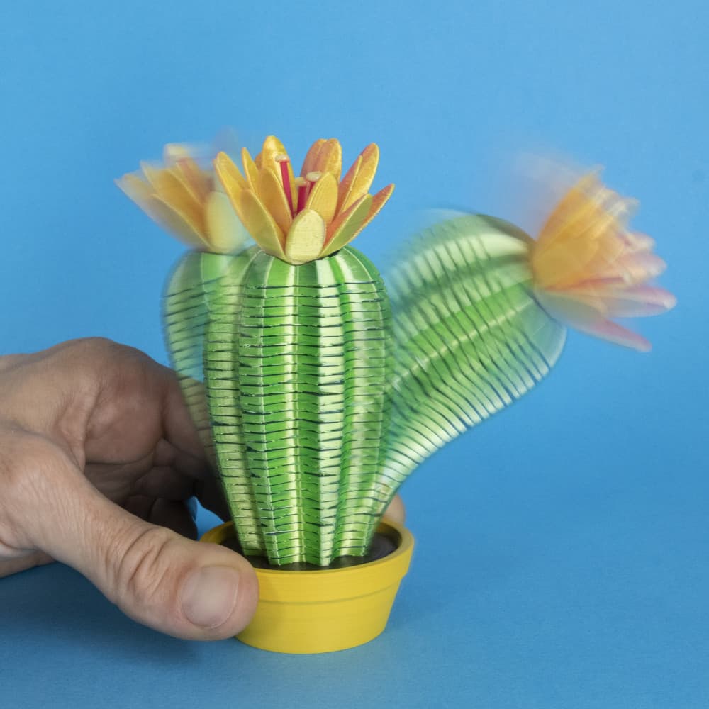 Springo Cactus Trichocereus 3d model