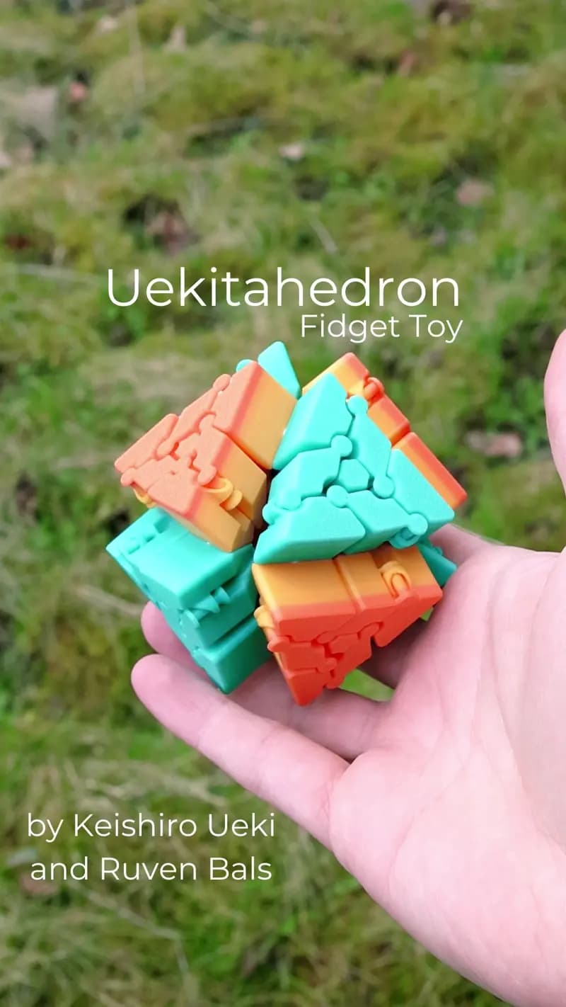 Uekitahedron Fidget Toy 3d model