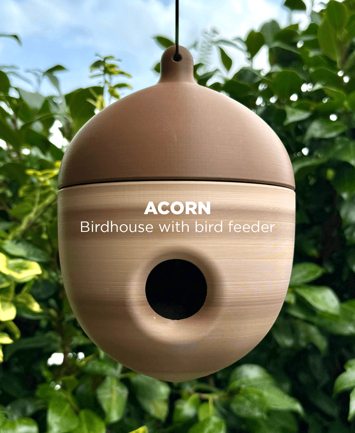 Acorn, birdhouse with integrated bird feeder. 3d model