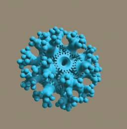 Bronchioles Floramorph 3d model