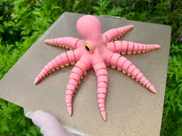 FLEXI OCTOPUS 3d model