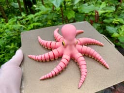 FLEXI OCTOPUS 3d model