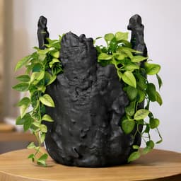UNIQUE SCULPTURAL ORGANIC PLANTER 3d model