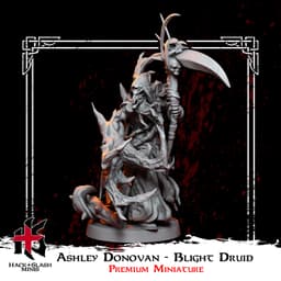 Ashley_Donovan-Half-Elf_Blight_Druid 3d model