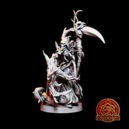 Ashley_Donovan-Half-Elf_Blight_Druid 3d model