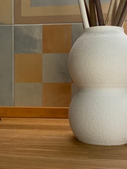 Mono 3d model
