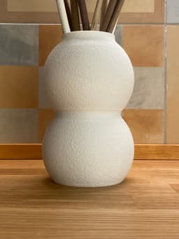 Mono 3d model