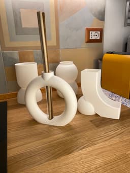 Mono 3d model