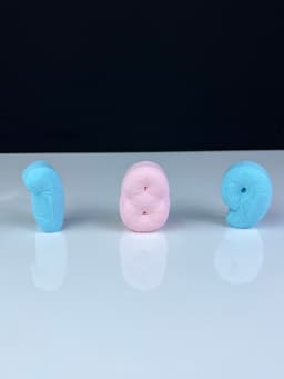 Balloon letters and numbers 3d model