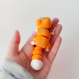 Kitty Flexi 3d model