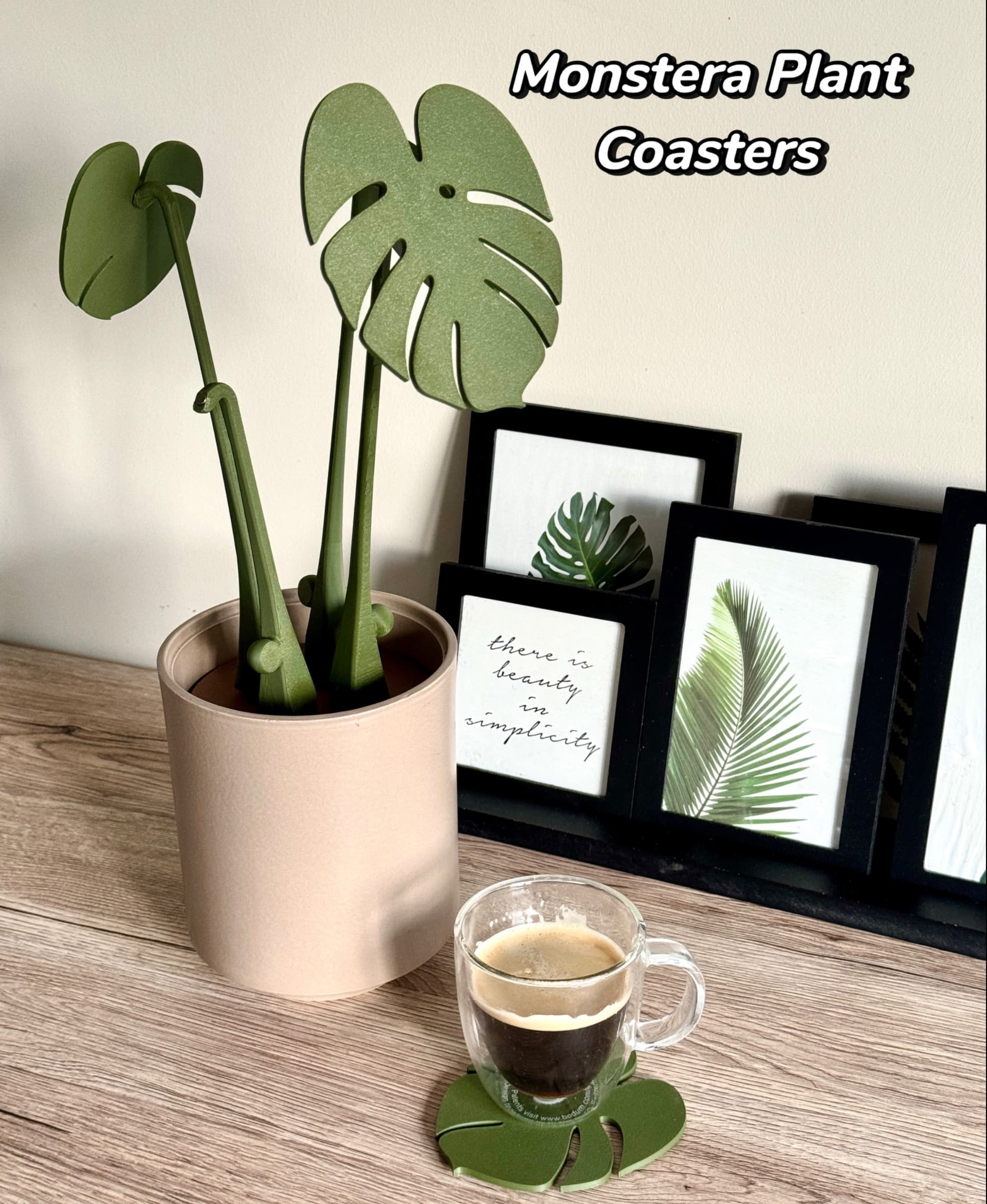 Monstera plant coasters !