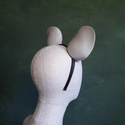 Mouse Ears 3d model
