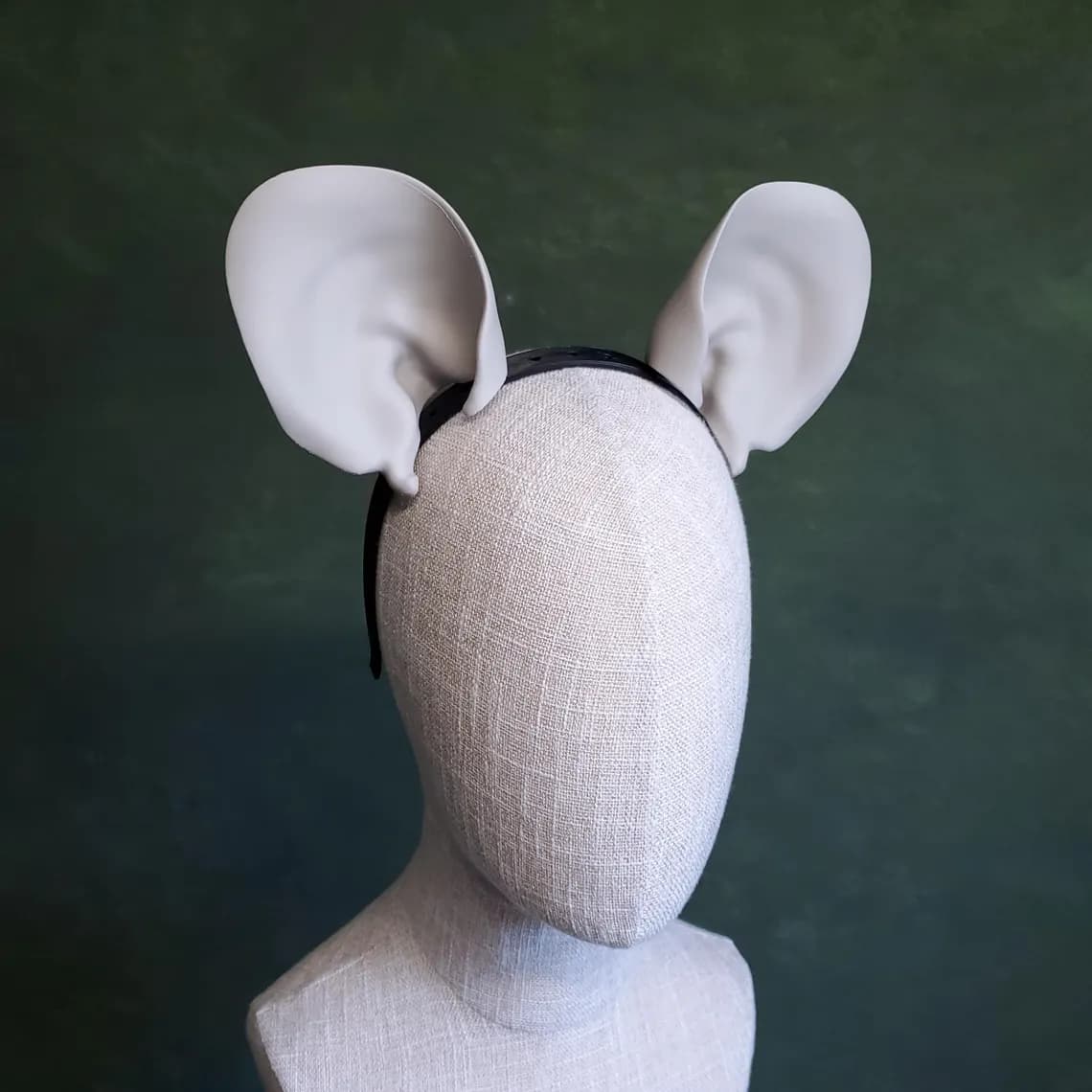 Mouse Ears 3d model