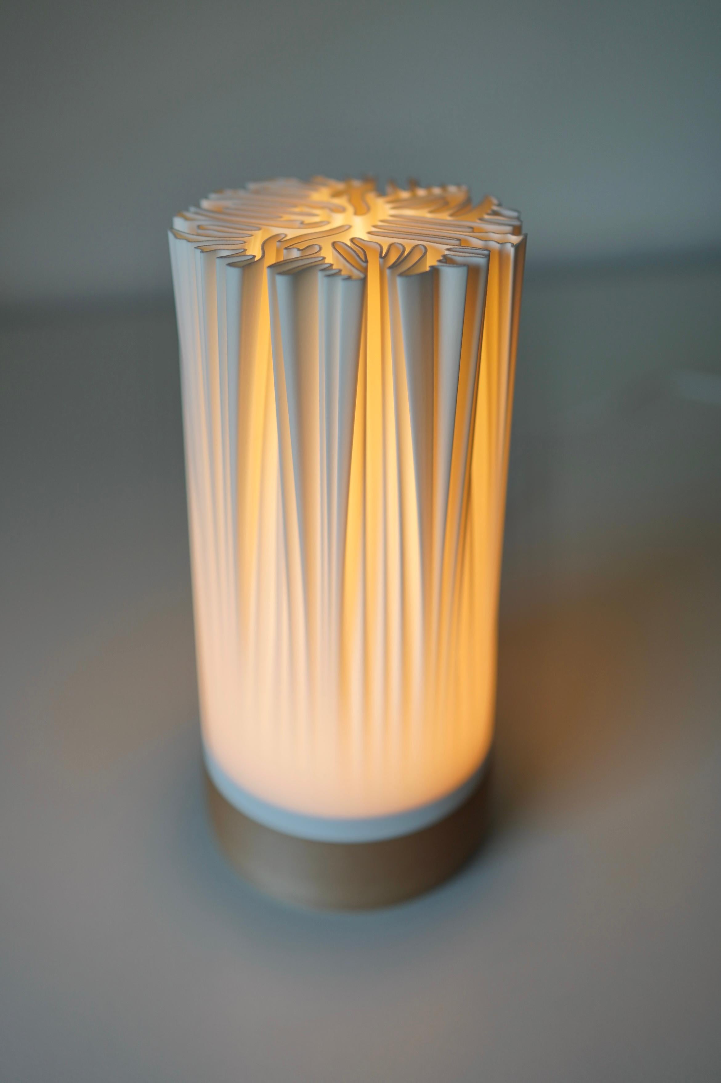 ORGANIS minimalist organic table lamp 3d model