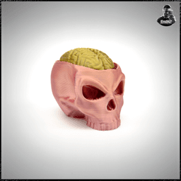 Skull Brain Clickers 3d model