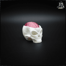 Skull Brain Clickers 3d model