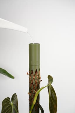 MOSS BUDDY - Moss Pole Starter Pack 3d model
