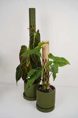 MOSS BUDDY - Moss Pole Starter Pack 3d model