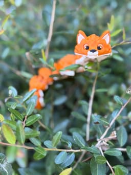 Tod Woodland Fox 3d model