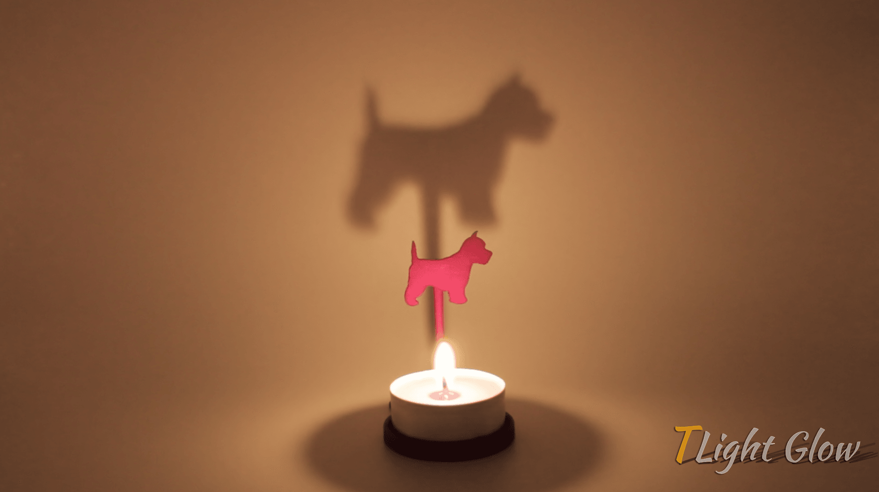 Anima Scottie 3d model
